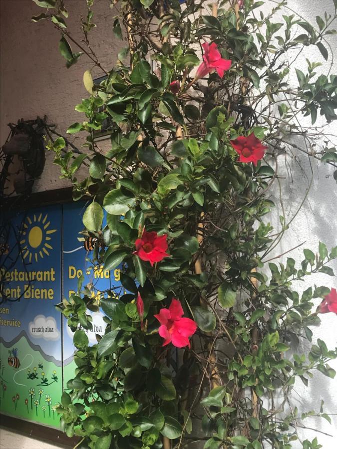 Alte Post Mit Geschichte Und Restaurant Daire Tavanasa Dış mekan fotoğraf