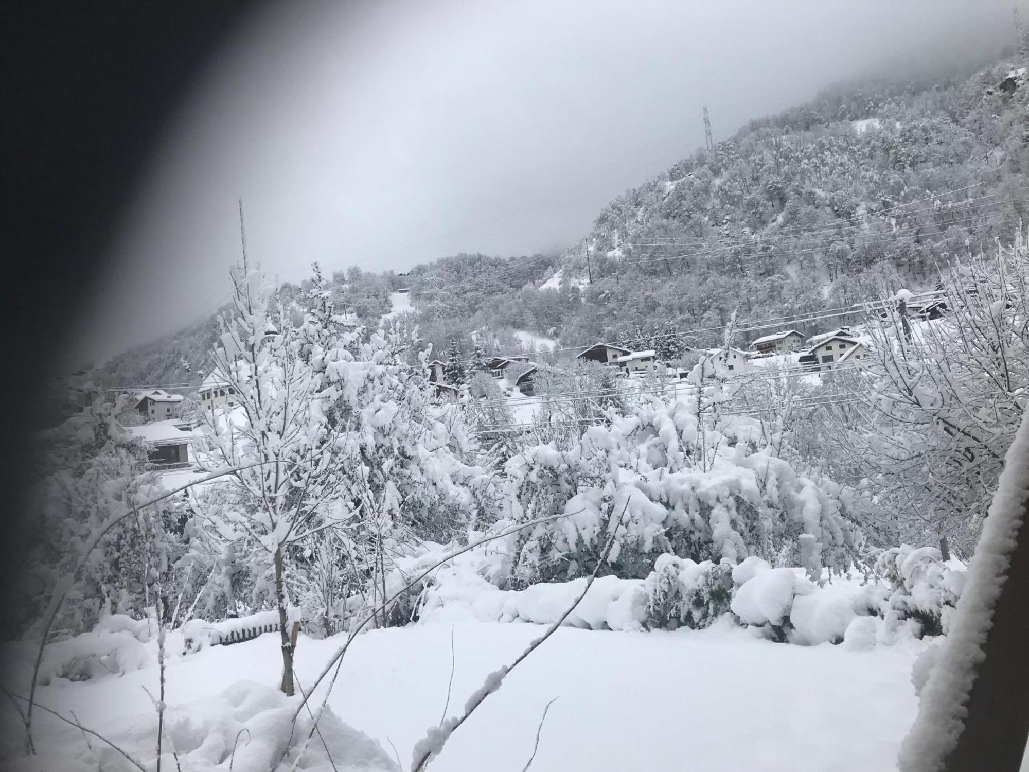 Alte Post Mit Geschichte Und Restaurant Daire Tavanasa Dış mekan fotoğraf